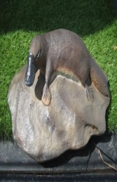 Platypus on Rock - Small (JR 100115)	
