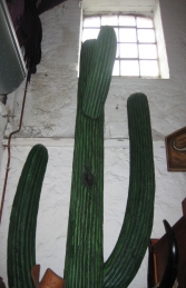 Cactus Saguaro 15FT (JR 110022) - Thumbnail 02