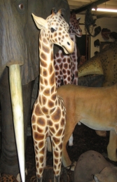 Giraffe Baby 6ft (JR 120004) - Thumbnail 02