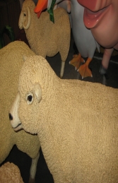 Ryeland Ewe Sheep (JR 120006) - Thumbnail 03