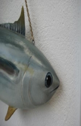 Tuna Fish - Closed Mouth (JR FSC1293CM)	 - Thumbnail 02