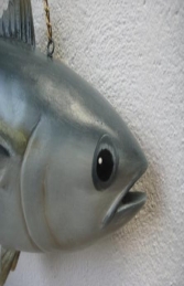 Tuna Fish - Open Mouth (JR FSC1293OM)	 - Thumbnail 02