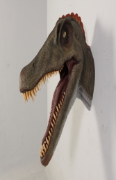 Spinosaurus Head (JR 0044)