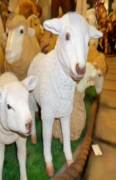 Lamb life-size (JR 2362) - Thumbnail 03