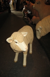 Merino Lamb Standing (JR 100051)    - Thumbnail 03