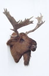 Moose Head (Furry) (JR 2076)