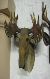 Moose Head (JR DD88130A) - Thumbnail 03