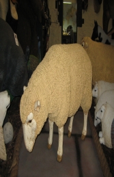 Merino Sheep Head Down Esky (JR 020409esky) - Thumbnail 02