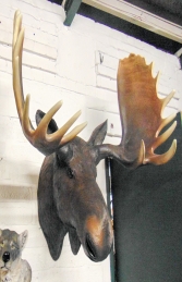 Moose Head (JR 180023) - Thumbnail 02