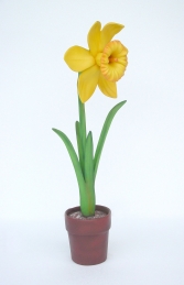 Daffodil 3ft (JR 2204)    - Thumbnail 01