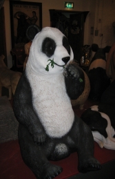 Panda Collection Box (JR 0043)