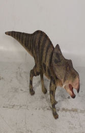 Protoceratops (JR 120064) - Thumbnail 01