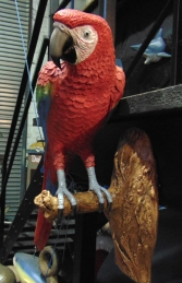 Parrot - Red/Blue (JR 170015RB) - Thumbnail 02