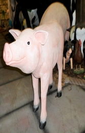 Pig -100cm (JR 140083) - Thumbnail 02