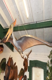 Pteranodon - 10ft (JR 140025) - Thumbnail 03