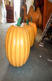 Pumpkin 5 (JR 150094) - Thumbnail 03