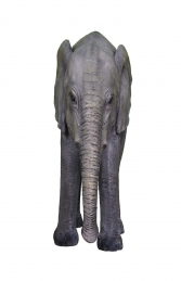 Elephant - Baby (JR R-002)