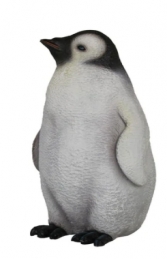 Penguin - Young (JR R-021)