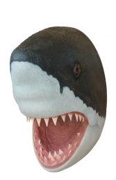 Shark Head -Great White (JR R-032) - Thumbnail 01