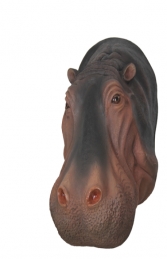 Hippo Head (JR R-030)