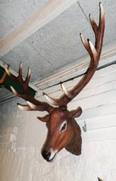 Red Deer Head Stag (JR 130095) - Thumbnail 02