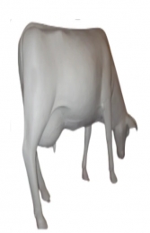 Cow - Smooth White head down with horns (JR SB002) - Thumbnail 01