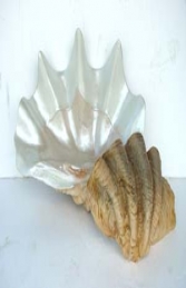 Sea Shell large (JR 1784) - Thumbnail 02