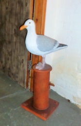 Seagull on Mooring Bollard (JR 130088) - Thumbnail 03
