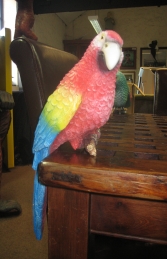 Sitting Parrot - Red (JR R-036)