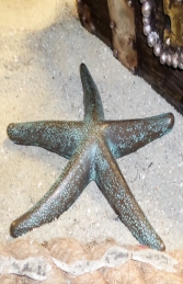Starfish 25cm - Bronze (JR 140085) - Thumbnail 02