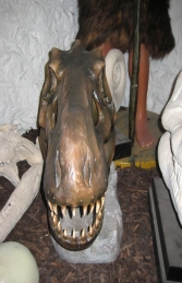 T Rex Skull Head (JR 2440) - Thumbnail 02