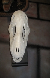 T Rex Skull on base (JR 100502RS) - Thumbnail 02