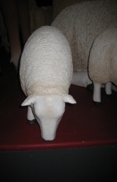 Texelaar Sheep head down - Small (JR 120022) - Thumbnail 03