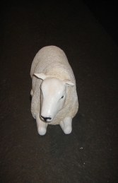 Texelaar Sheep Lying Down - Small (JR 120023) - Thumbnail 03