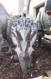 Triceratops (JR 100048)	 - Thumbnail 02