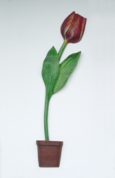 Tulip Half 6ft (JR 1724)    - Thumbnail 02
