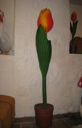 Tulip Whole 6ft (JR 1725)   