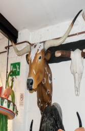 Bull Head- Texas Long Horn (JR 160122) - Thumbnail 03