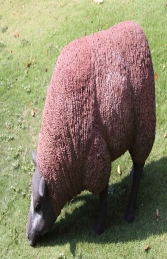 Texelaar Sheep Head Down (JR 100021b)