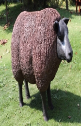 Texelaar Sheep Head Up (JR 100022b) - Thumbnail 01