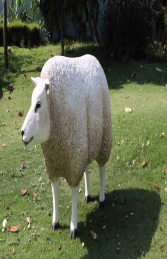 Texelaar Sheep Head Up (JR 100022w)    - Thumbnail 02