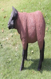 Texelaar Lamb Standing  (JR 100024b)