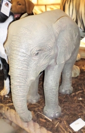 Elephant - Baby (JR R-002) - Thumbnail 03
