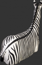 Zebra Resting (JR 120057) - Thumbnail 02
