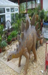 Stegosaurus Baby 5ft tall (JR 2404) - Thumbnail 03