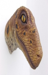 Raptor Baby Head (JR 2305) - Thumbnail 01