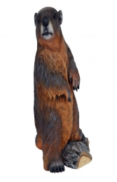 Beaver (JR 2597)