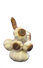 Bunch of Garlic 2ft (JR 2684) - Thumbnail 01