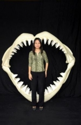 Shark Jaws Large (JR 2456) - Thumbnail 03