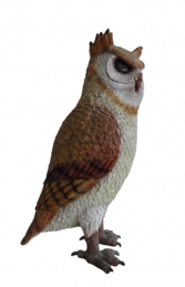 Owl (JR R-172) - Thumbnail 01